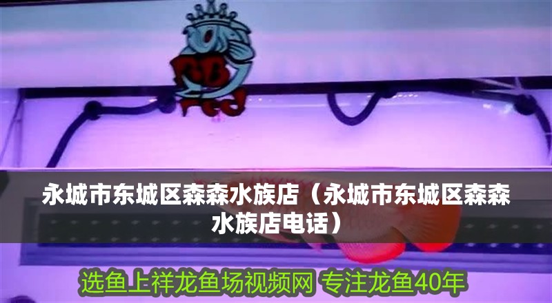 永城市東城區森森水族店（永城市東城區森森水族店電話）