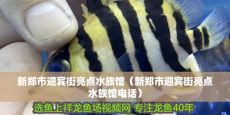 新鄭市迎賓街亮點水族館（新鄭市迎賓街亮點水族館電話）