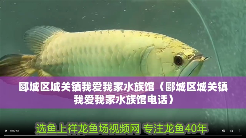 郾城區(qū)城關鎮(zhèn)我愛我家水族館（郾城區(qū)城關鎮(zhèn)我愛我家水族館電話） 郾城區(qū)城關鎮(zhèn)我愛我家水族館（郾城區(qū)城關鎮(zhèn)我愛我家水族館電話） 全國水族館企業(yè)名錄 第2張