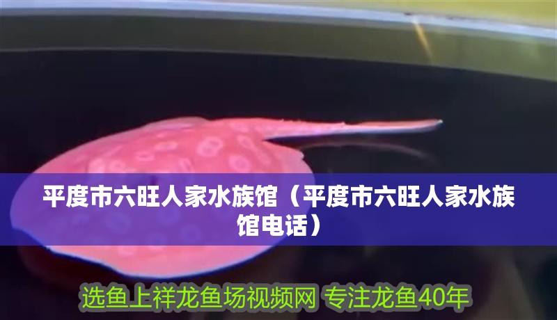 平度市六旺人家水族館（平度市六旺人家水族館電話）