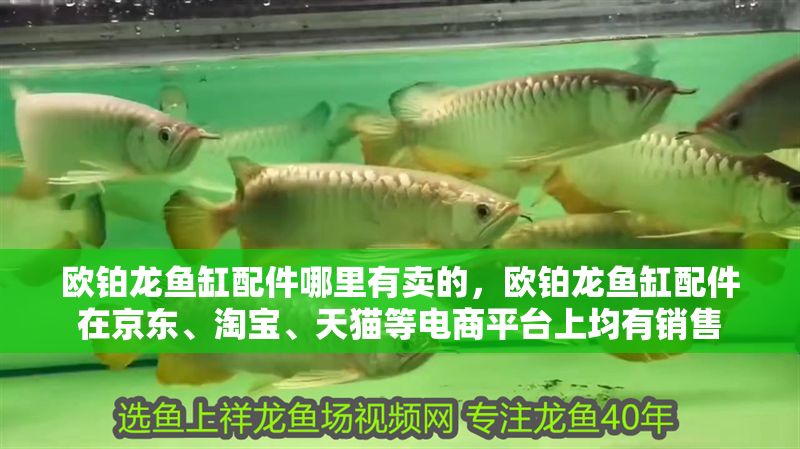 歐鉑龍魚缸配件哪里有賣的，歐鉑龍魚缸配件在京東、淘寶、天貓等電商平臺上均有銷售 歐鉑龍魚缸配件哪里有賣的，歐鉑龍魚缸配件在京東、淘寶、天貓等電商平臺上均有銷售 魚缸百科 第2張
