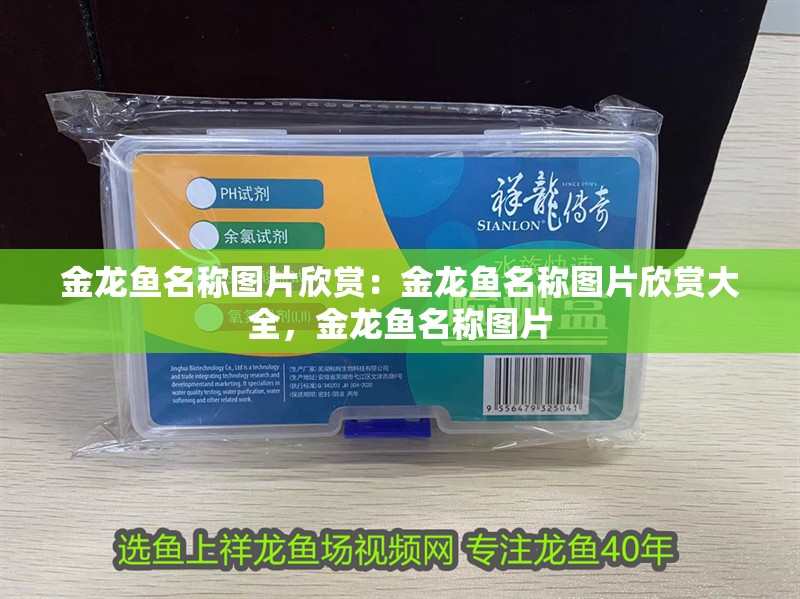 金龍魚名稱圖片欣賞：金龍魚名稱圖片欣賞大全，金龍魚名稱圖片