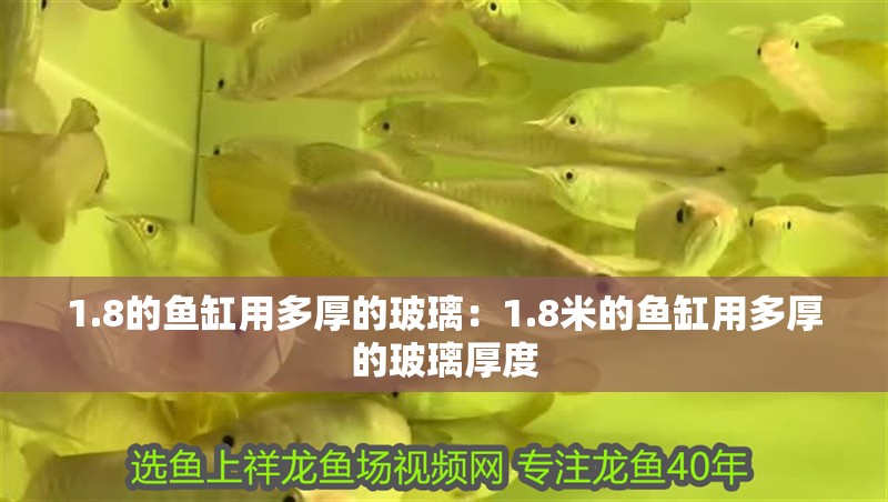 1.8的魚缸用多厚的玻璃：1.8米的魚缸用多厚的玻璃厚度