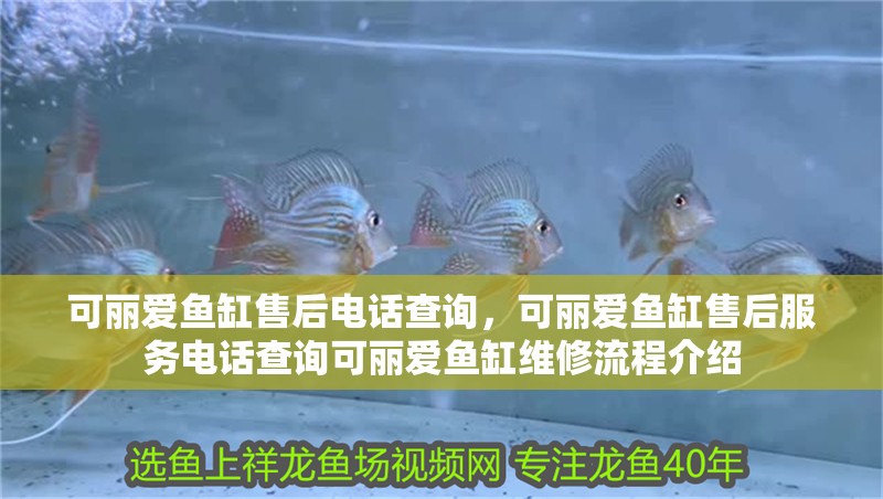 可麗愛魚缸售后電話查詢，可麗愛魚缸售后服務電話查詢可麗愛魚缸維修流程介紹