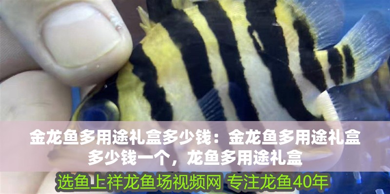 金龍魚多用途禮盒多少錢：金龍魚多用途禮盒多少錢一個，龍魚多用途禮盒