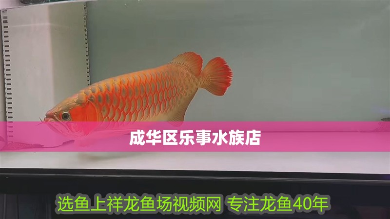 成華區樂事水族店