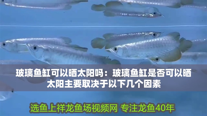 玻璃魚缸可以曬太陽嗎：玻璃魚缸是否可以曬太陽主要取決于以下幾個因素