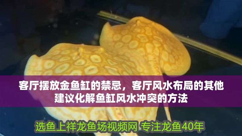 客廳擺放金魚缸的禁忌，客廳風水布局的其他建議化解魚缸風水沖突的方法