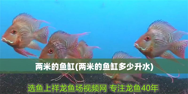 兩米的魚缸(兩米的魚缸多少升水)