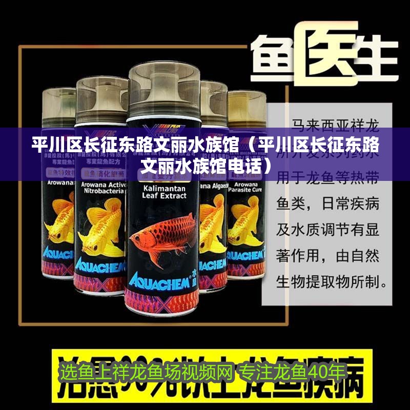 平川區長征東路文麗水族館（平川區長征東路文麗水族館電話）