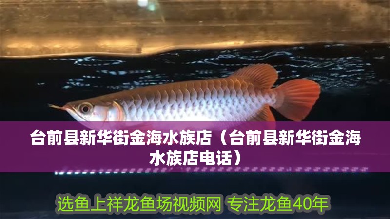 臺前縣新華街金海水族店（臺前縣新華街金海水族店電話）