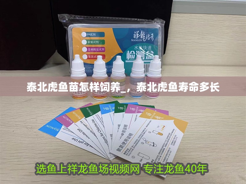 泰北虎魚苗怎樣飼養(yǎng)_，泰北虎魚壽命多長