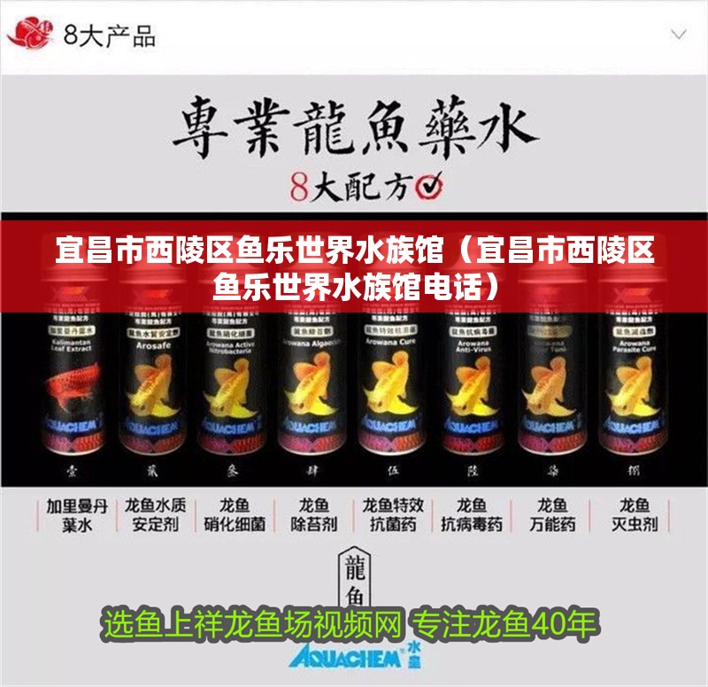 宜昌市西陵區(qū)魚樂世界水族館（宜昌市西陵區(qū)魚樂世界水族館電話）