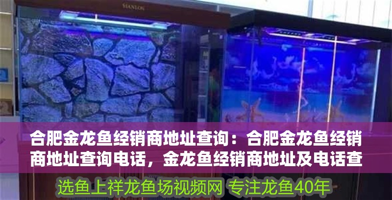 合肥金龍魚經銷商地址查詢：合肥金龍魚經銷商地址查詢電話，金龍魚經銷商地址及電話查詢指南