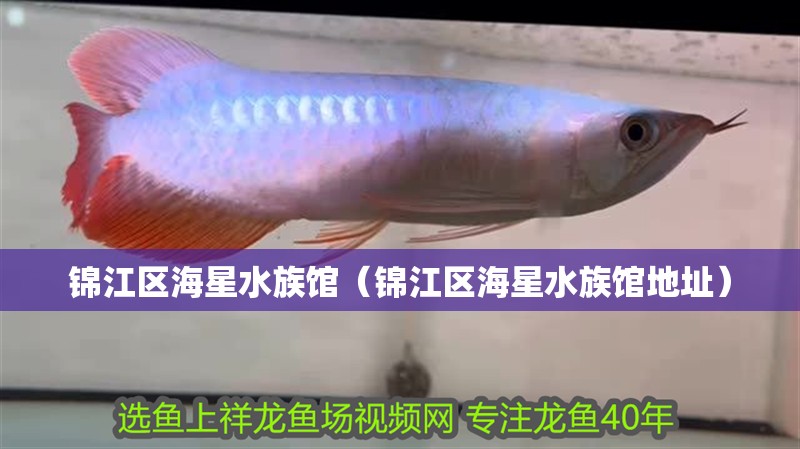 錦江區海星水族館（錦江區海星水族館地址）