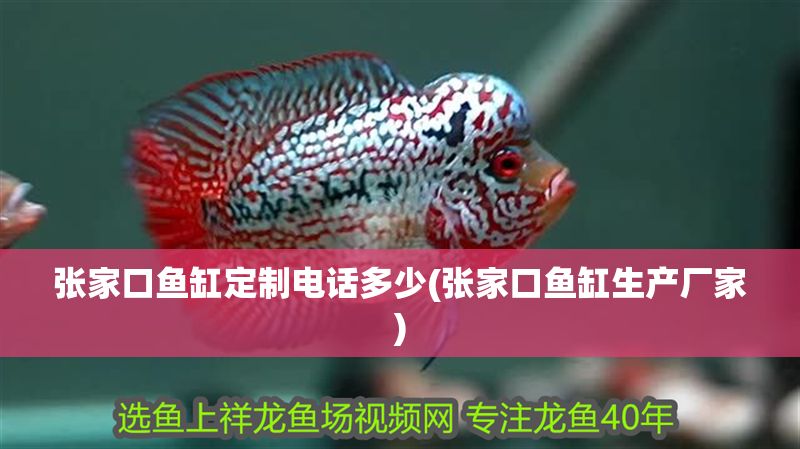 張家口魚缸定制電話多少(張家口魚缸生產廠家) 錦鯉魚百科 第1張 張家口魚缸定制電話多少(張家口魚缸生產廠家) 張家口魚缸定制電話多少(張家口魚缸生產廠家) 錦鯉魚百科 第1張