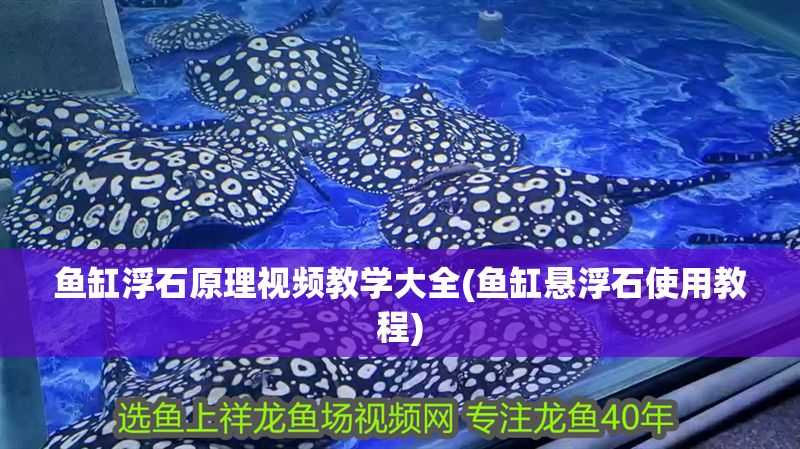 魚(yú)缸浮石原理視頻教學(xué)大全(魚(yú)缸懸浮石使用教程)