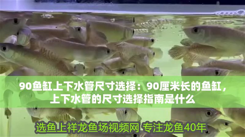 90魚缸上下水管尺寸選擇：90厘米長的魚缸，上下水管的尺寸選擇指南是什么