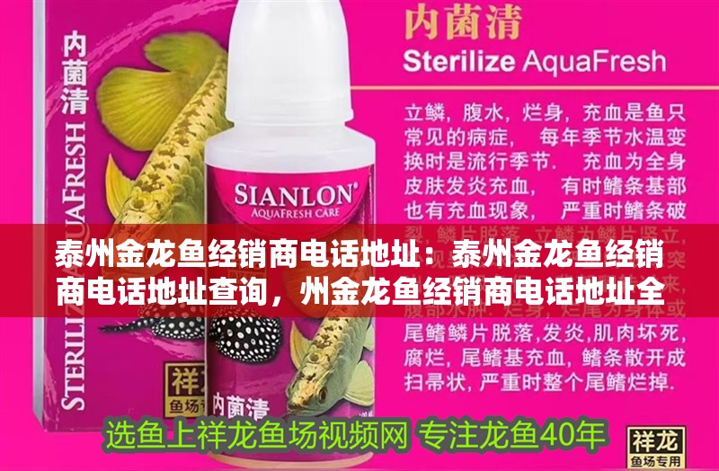 泰州金龍魚經銷商電話地址：泰州金龍魚經銷商電話地址查詢，州金龍魚經銷商電話地址全攻略