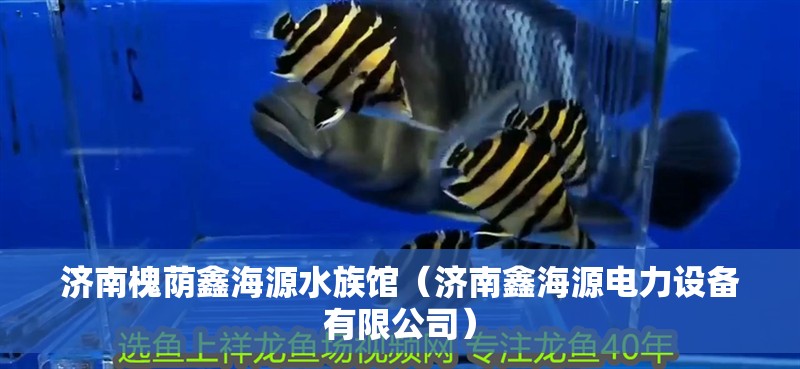 濟(jì)南槐蔭鑫海源水族館（濟(jì)南鑫海源電力設(shè)備有限公司）