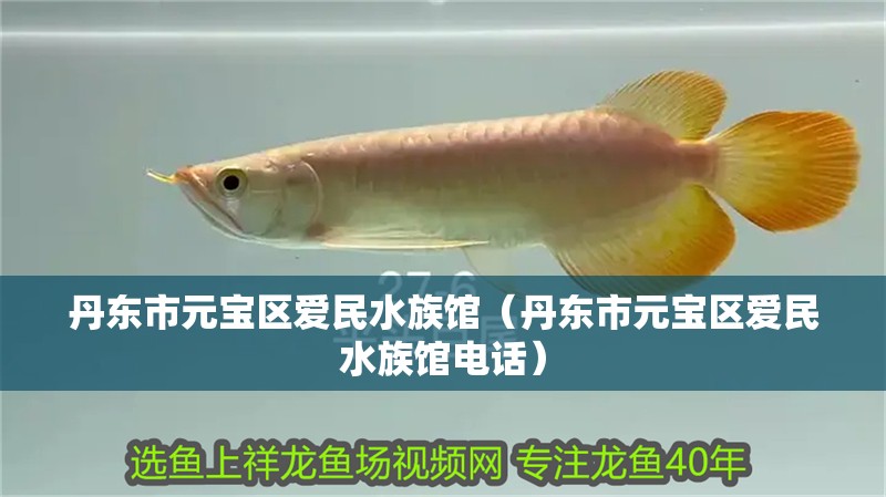 丹東市元寶區(qū)愛民水族館（丹東市元寶區(qū)愛民水族館電話）