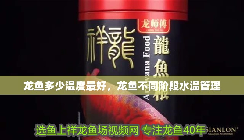 龍魚(yú)多少溫度最好，龍魚(yú)不同階段水溫管理