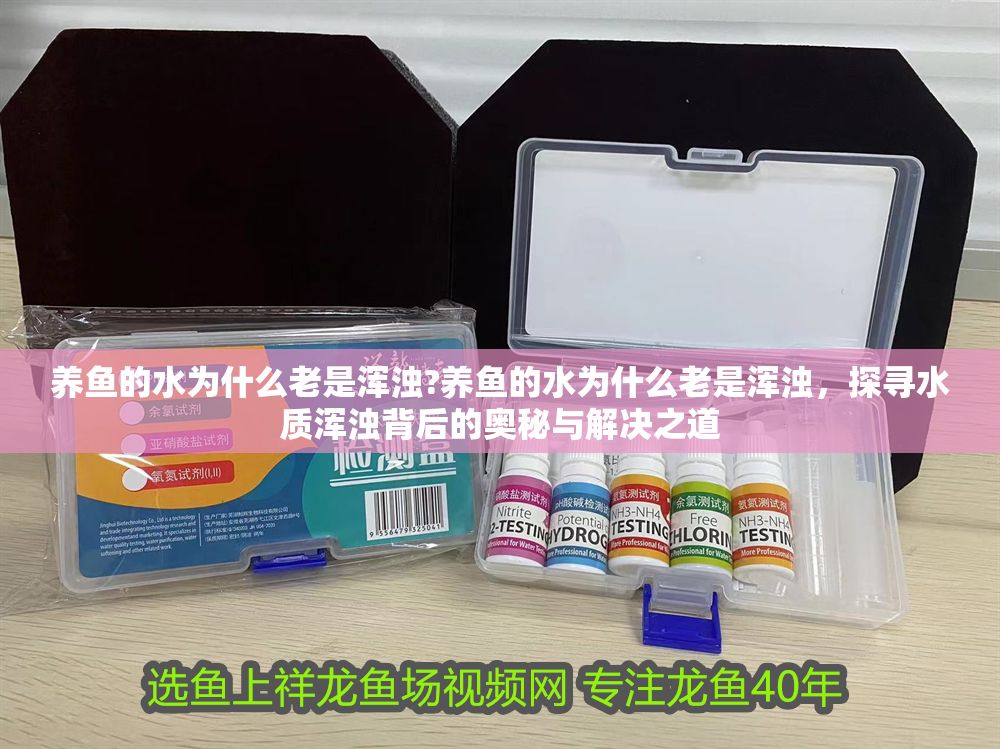 養魚的水為什么老是渾濁?養魚的水為什么老是渾濁，探尋水質渾濁背后的奧秘與解決之道