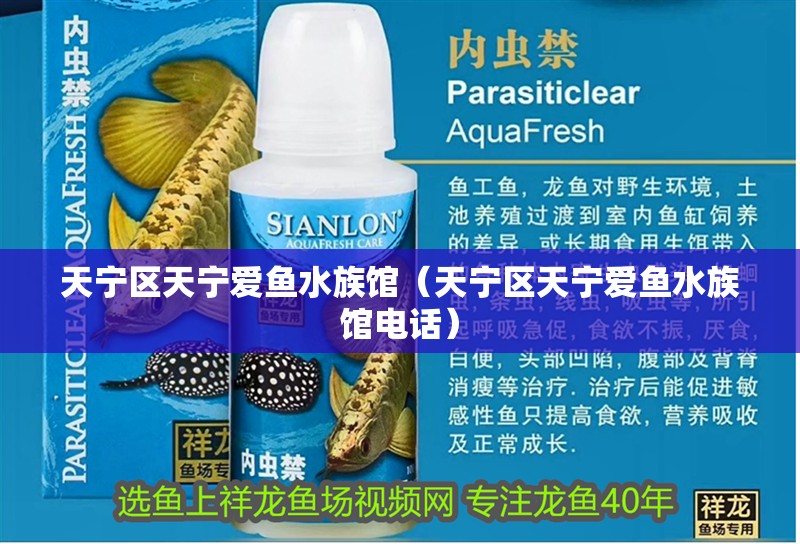 天寧區天寧愛魚水族館（天寧區天寧愛魚水族館電話）
