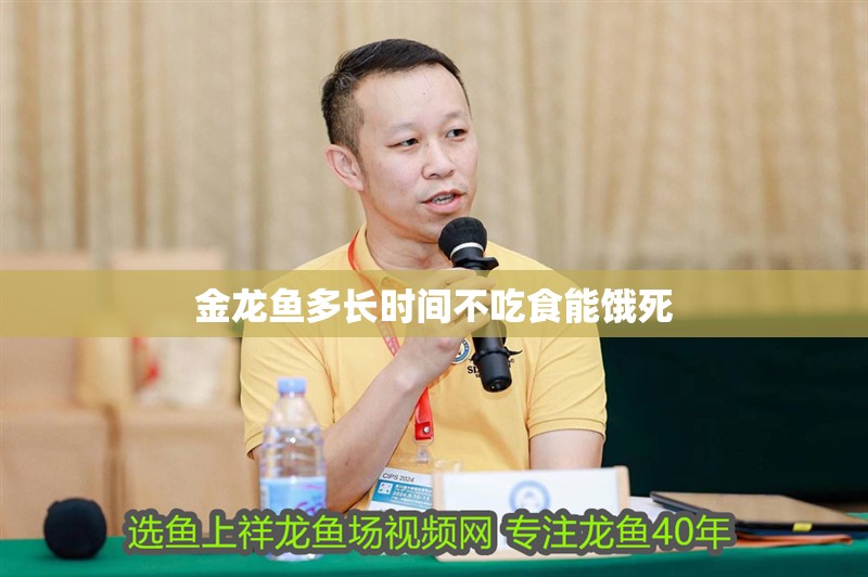 金龍魚多長時間不吃食能餓死