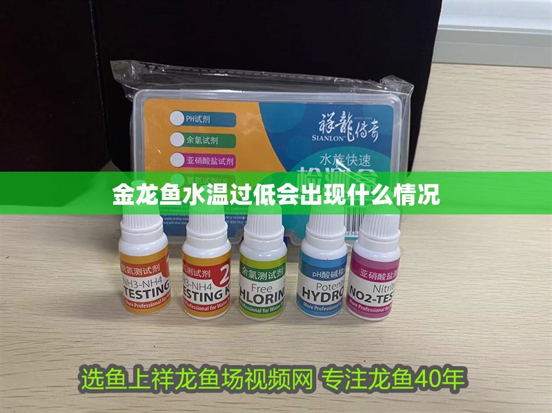 金龍魚水溫過低會出現什么情況