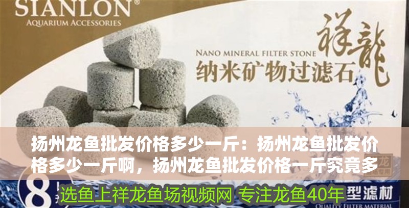 揚州龍魚批發(fā)價格多少一斤：揚州龍魚批發(fā)價格多少一斤啊，揚州龍魚批發(fā)價格一斤究竟多少？