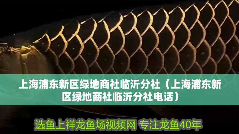 上海浦東新區(qū)綠地商社臨沂分社（上海浦東新區(qū)綠地商社臨沂分社電話）