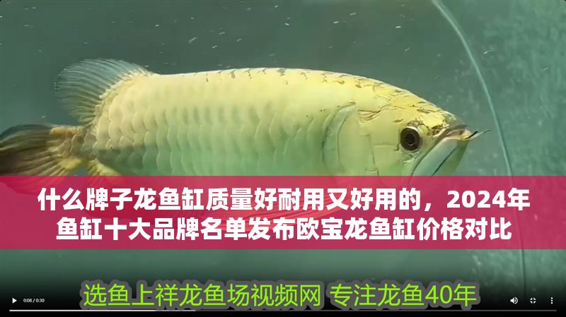 什么牌子龍魚缸質量好耐用又好用的，2024年魚缸十大品牌名單發布歐寶龍魚缸價格對比