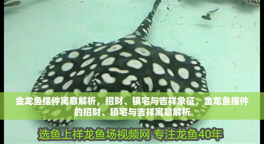 金龍魚擺件寓意解析，招財、鎮宅與吉祥象征，金龍魚擺件的招財、鎮宅與吉祥寓意解析