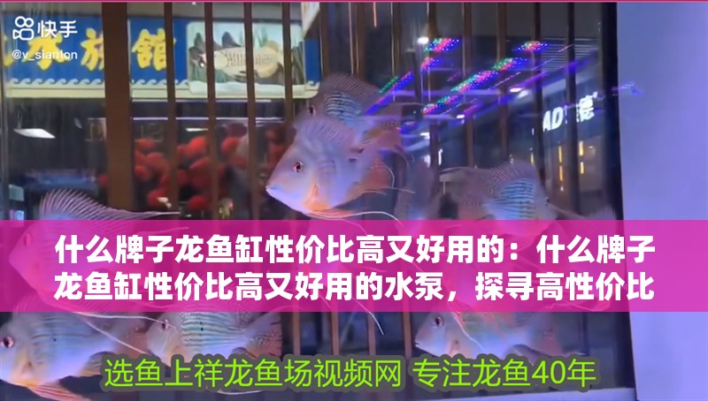 什么牌子龍魚缸性價比高又好用的：什么牌子龍魚缸性價比高又好用的水泵，探尋高性價比又好用的龍魚缸及適配水泵