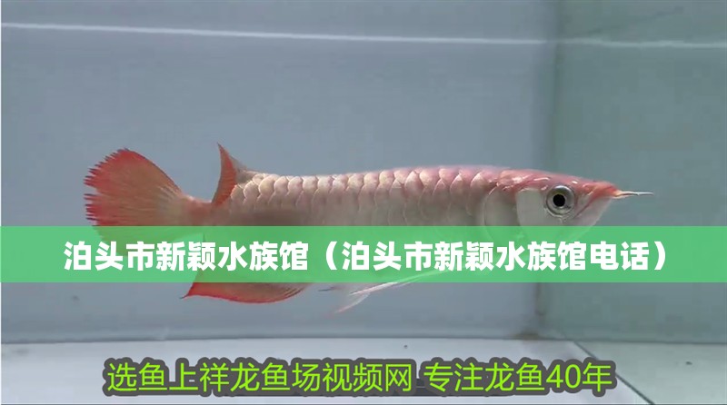 泊頭市新穎水族館（泊頭市新穎水族館電話）