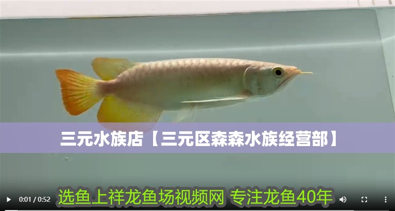 三元水族店【三元區森森水族經營部】