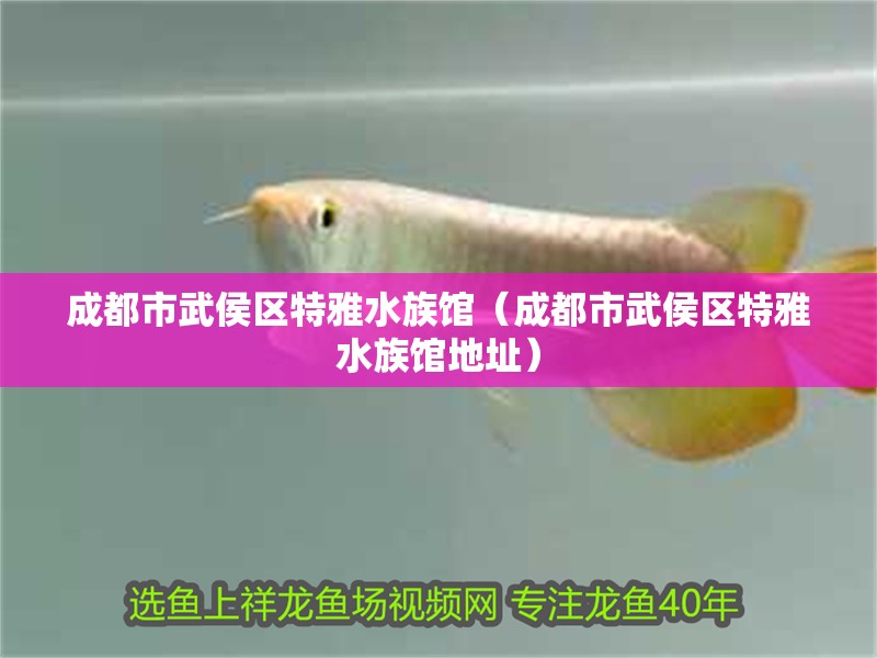 成都市武侯區(qū)特雅水族館（成都市武侯區(qū)特雅水族館地址）