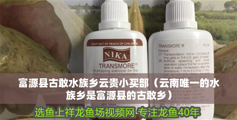 富源縣古敢水族鄉云貴小買部（云南唯一的水族鄉是富源縣的古敢鄉） 富源縣古敢水族鄉云貴小買部（云南唯一的水族鄉是富源縣的古敢鄉） 全國水族館企業名錄 第2張