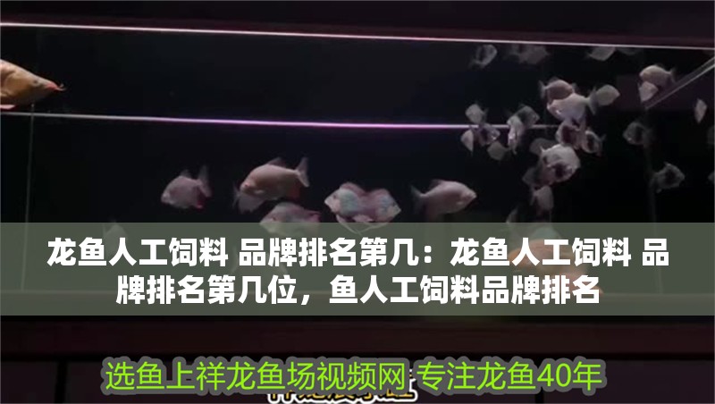 龍魚人工飼料 品牌排名第幾：龍魚人工飼料 品牌排名第幾位，魚人工飼料品牌排名