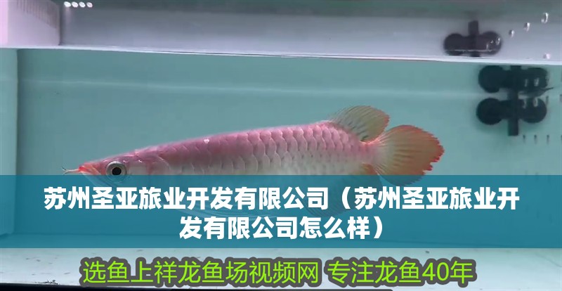 蘇州圣亞旅業(yè)開發(fā)有限公司（蘇州圣亞旅業(yè)開發(fā)有限公司怎么樣）