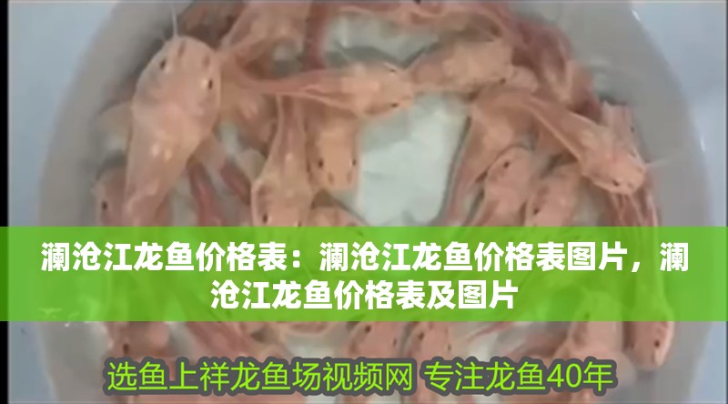 瀾滄江龍魚價(jià)格表：瀾滄江龍魚價(jià)格表圖片，瀾滄江龍魚價(jià)格表及圖片