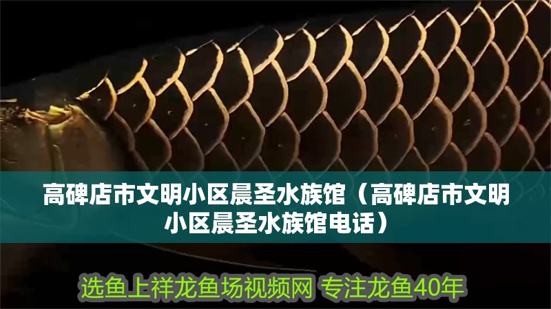 高碑店市文明小區晨圣水族館（高碑店市文明小區晨圣水族館電話）