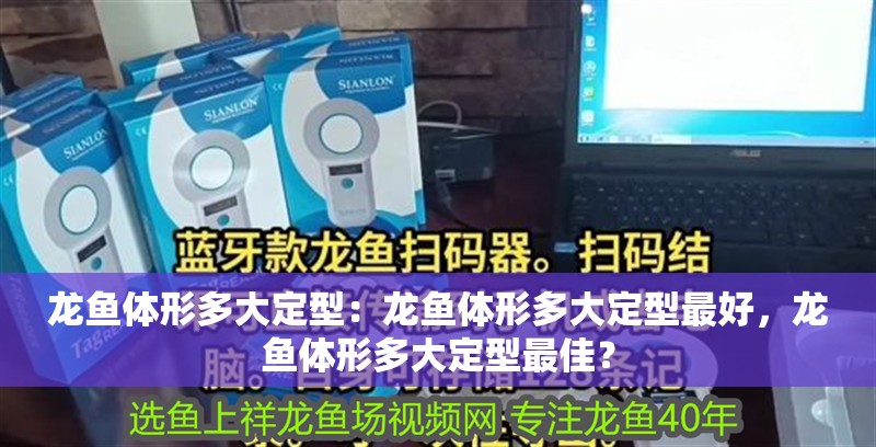 龍魚體形多大定型：龍魚體形多大定型最好，龍魚體形多大定型最佳？