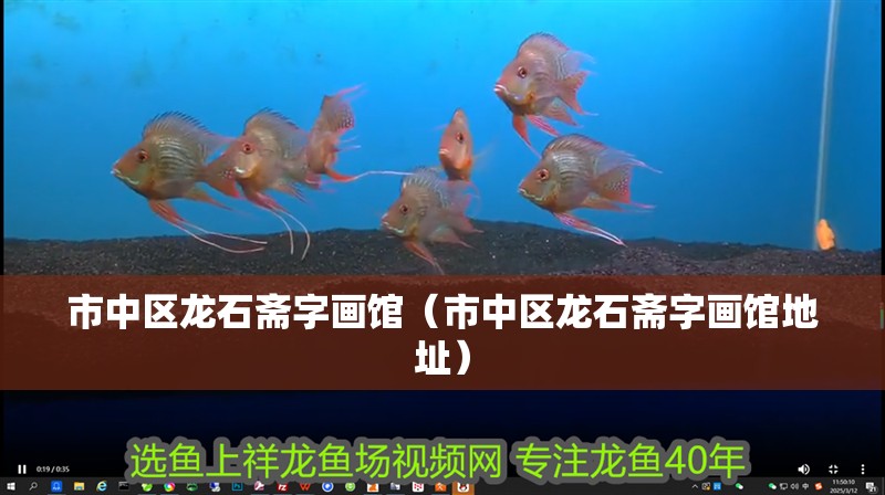 市中區龍石齋字畫館（市中區龍石齋字畫館地址）