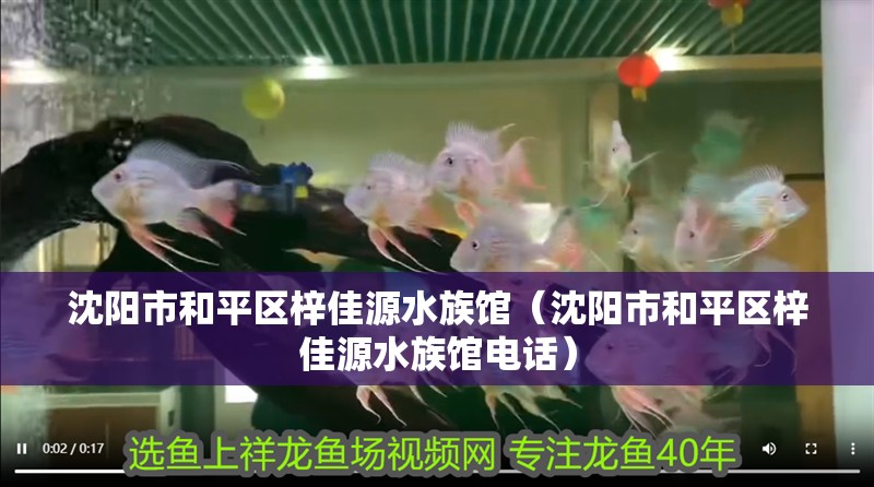 沈陽市和平區(qū)梓佳源水族館（沈陽市和平區(qū)梓佳源水族館電話）