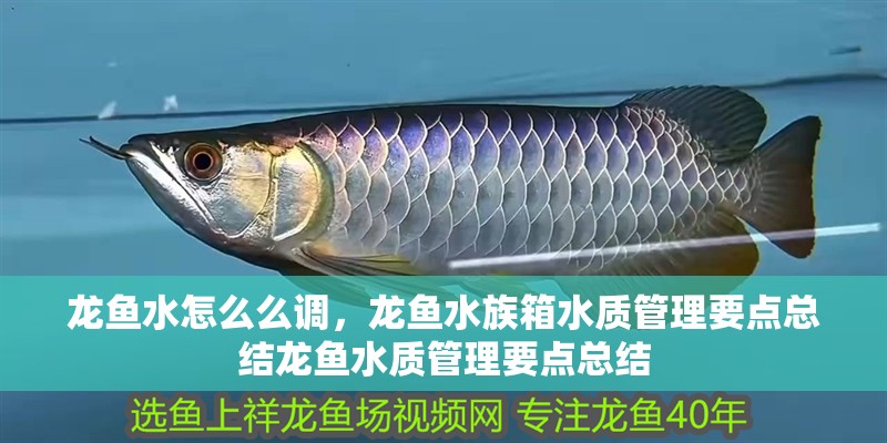 龍魚水怎么么調，龍魚水族箱水質管理要點總結龍魚水質管理要點總結