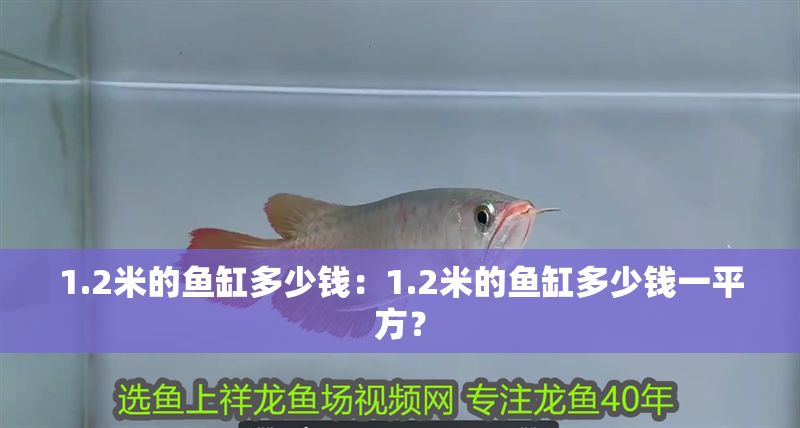 1.2米的魚(yú)缸多少錢(qián)：1.2米的魚(yú)缸多少錢(qián)一平方？