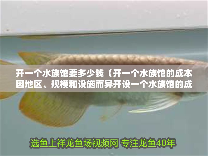 開一個水族館要多少錢（開一個水族館的成本因地區、規模和設施而異開設一個水族館的成本）
