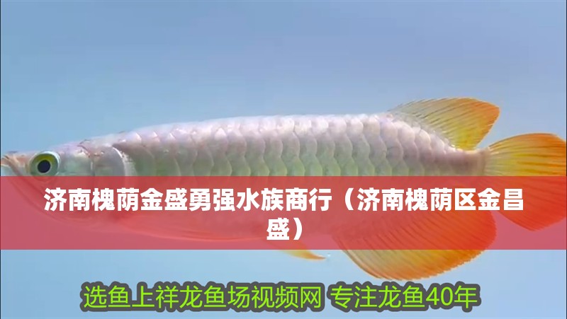 濟南槐蔭金盛勇強水族商行（濟南槐蔭區金昌盛）